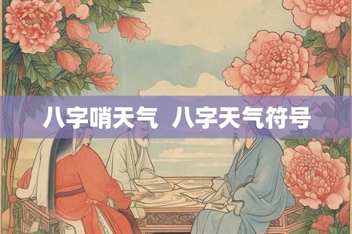 八字哨天气  八字天气符号