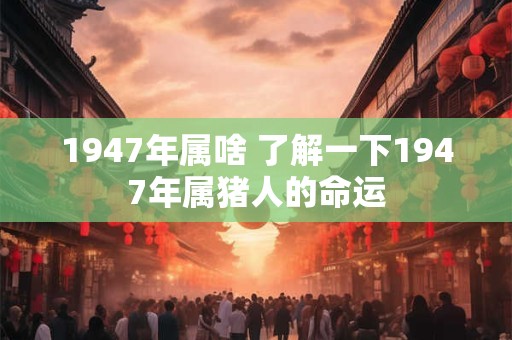 1947年属啥 了解一下1947年属猪人的命运