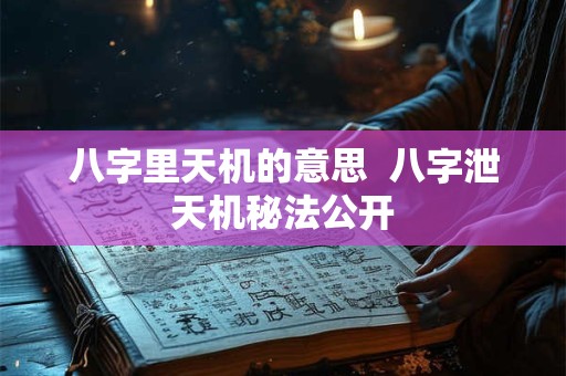 八字里天机的意思  八字泄天机秘法公开