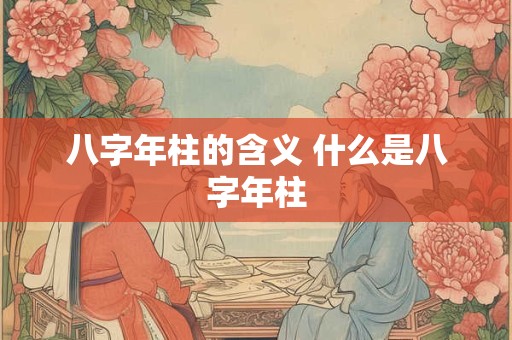 八字年柱的含义 什么是八字年柱