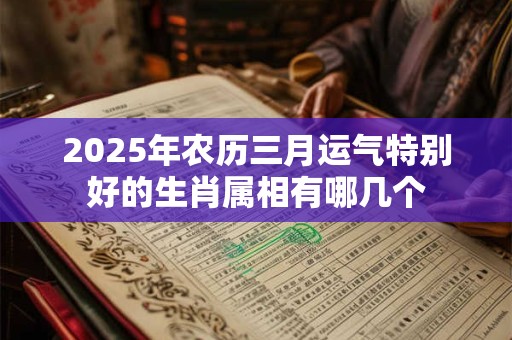 2025年农历三月运气特别好的生肖属相有哪几个