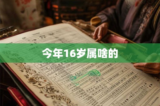 今年16岁属啥的