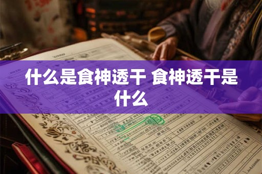 什么是食神透干 食神透干是什么