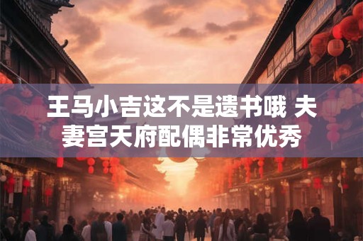 王马小吉这不是遗书哦 夫妻宫天府配偶非常优秀