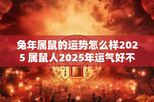 兔年属鼠的运势怎么样2025 属鼠人2025年运气好不好