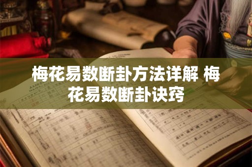 梅花易数断卦方法详解 梅花易数断卦诀窍