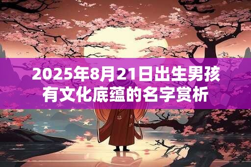 2025年8月21日出生男孩有文化底蕴的名字赏析