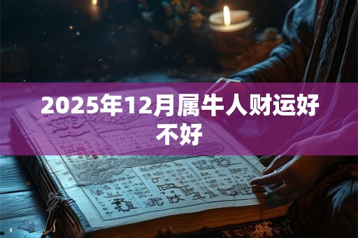 2025年12月属牛人财运好不好