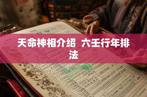 天命神相介绍  六壬行年排法