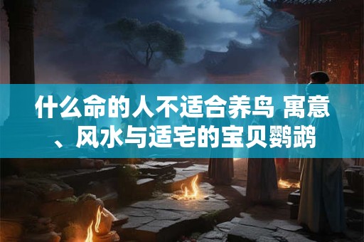 什么命的人不适合养鸟 寓意、风水与适宅的宝贝鹦鹉