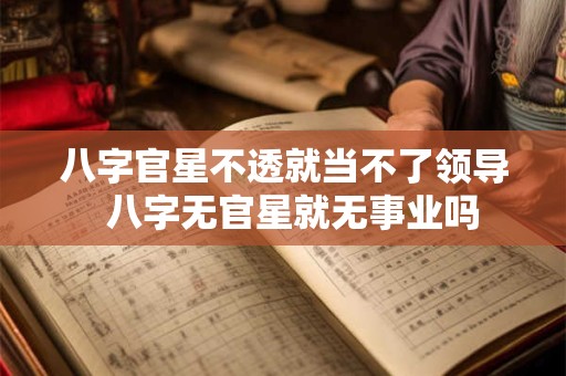 八字官星不透就当不了领导  八字无官星就无事业吗
