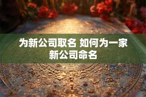 为新公司取名 如何为一家新公司命名