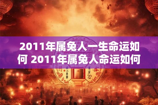 2011年属兔人一生命运如何 2011年属兔人命运如何