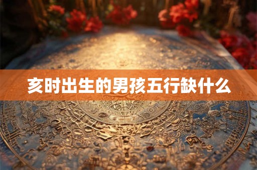 亥时出生的男孩五行缺什么