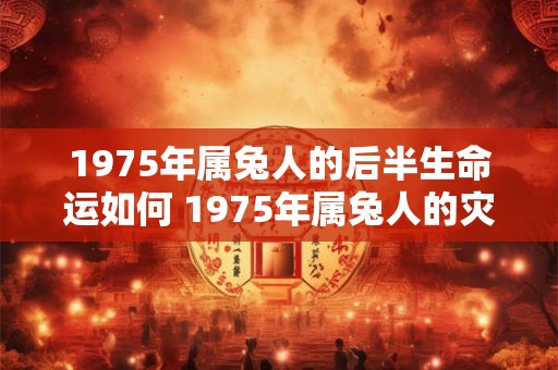 1975年属兔人的后半生命运如何 1975年属兔人的灾难年龄