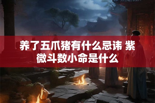 养了五爪猪有什么忌讳 紫微斗数小命是什么 养了五爪猪有什么忌讳 紫微斗数小命是什么