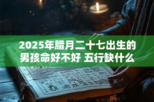 2025年腊月二十七出生的男孩命好不好 五行缺什么