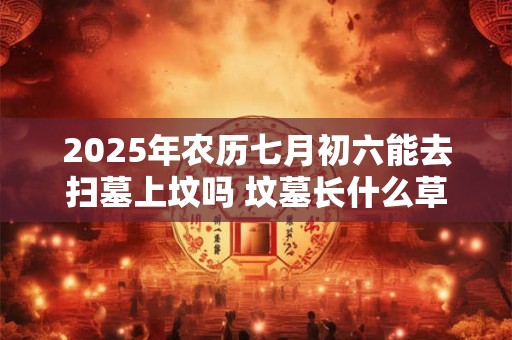 2025年农历七月初六能去扫墓上坟吗 坟墓长什么草后人发财