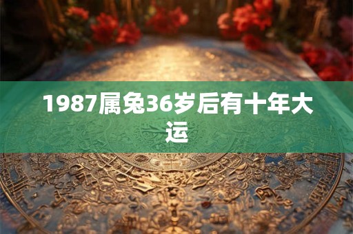 1987属兔36岁后有十年大运