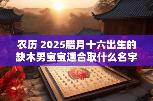农历 2025腊月十六出生的缺木男宝宝适合取什么名字