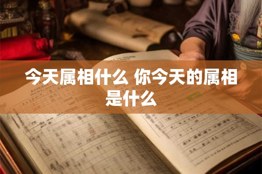 今天属相什么 你今天的属相是什么