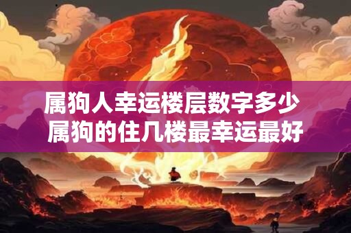 属狗人幸运楼层数字多少 属狗的住几楼最幸运最好