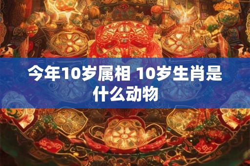 今年10岁属相 10岁生肖是什么动物