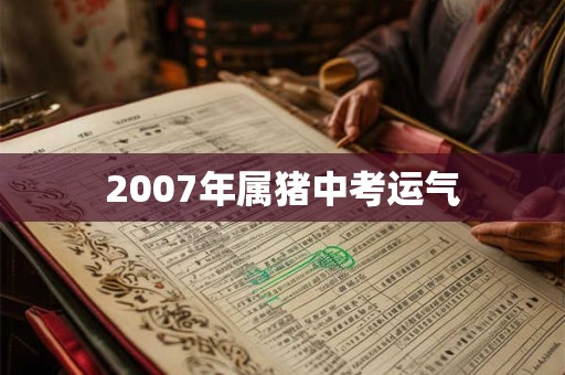 2007年属猪中考运气