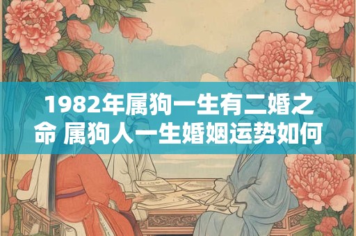 1982年属狗一生有二婚之命 属狗人一生婚姻运势如何