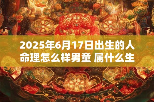 2025年6月17日出生的人命理怎么样男童 属什么生肖