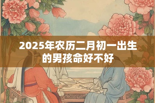 2025年农历二月初一出生的男孩命好不好