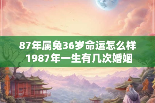 87年属兔36岁命运怎么样 1987年一生有几次婚姻