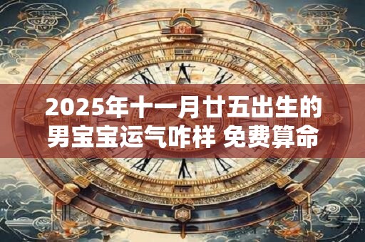 2025年十一月廿五出生的男宝宝运气咋样 免费算命