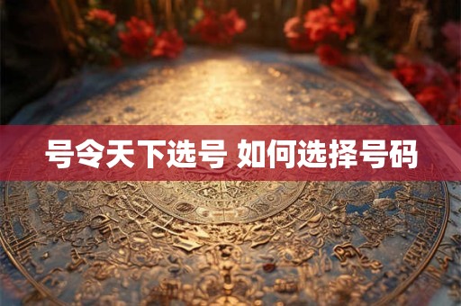 号令天下选号 如何选择号码