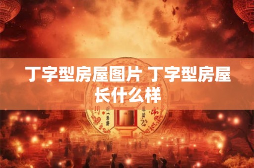 丁字型房屋图片 丁字型房屋长什么样