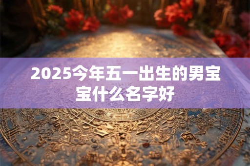 2026今年五一出生的男宝宝什么名字好