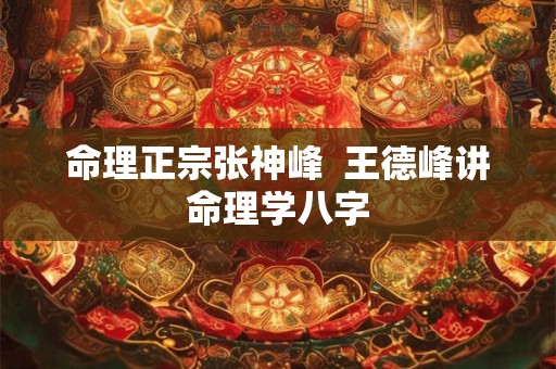 命理正宗张神峰  王德峰讲命理学八字