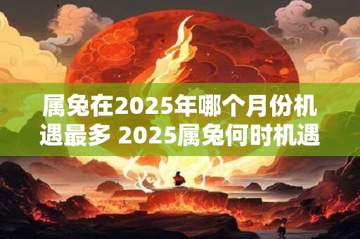 属兔在2025年哪个月份机遇最多 2025属兔何时机遇最大