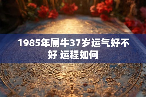 1985年属牛37岁运气好不好 运程如何 1985年属牛37岁运气好不好 运程如何