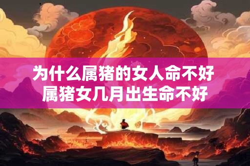 为什么属猪的女人命不好 属猪女几月出生命不好
