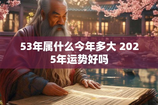 53年属什么今年多大 2026年运势好吗