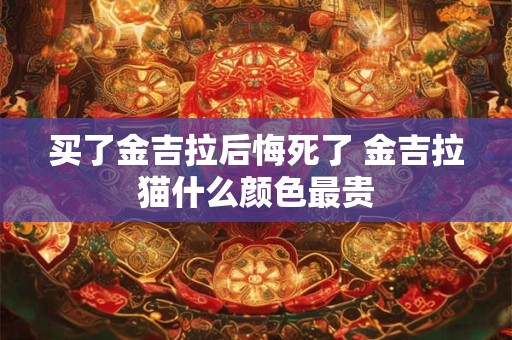 买了金吉拉后悔死了 金吉拉猫什么颜色最贵