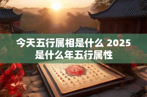 今天五行属相是什么 2025是什么年五行属性