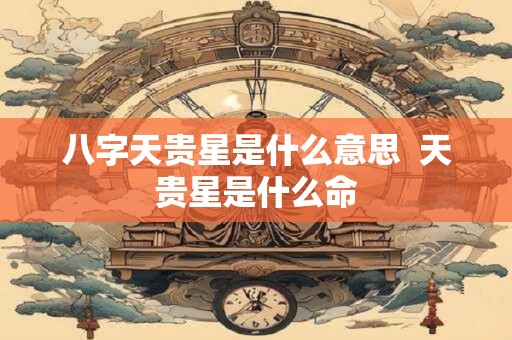 八字天贵星是什么意思  天贵星是什么命