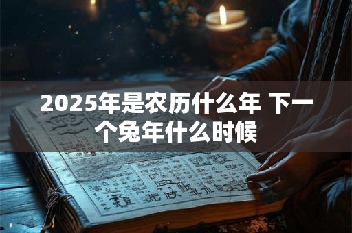 2025年是农历什么年 下一个兔年什么时候