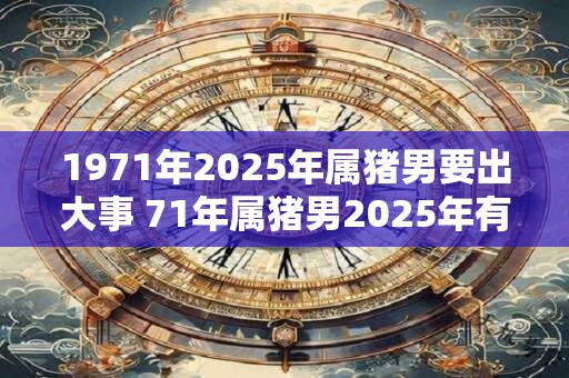 1971年2025年属猪男要出大事 71年属猪男2025年有什么大事