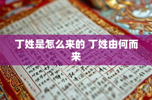 丁姓是怎么来的 丁姓由何而来