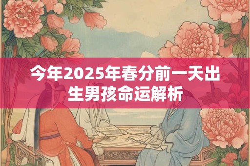 今年2026年春分前一天出生男孩命运解析