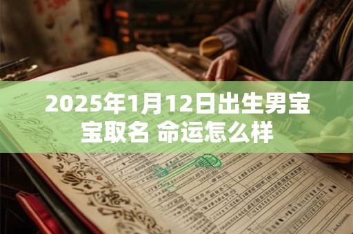 2025年1月12日出生男宝宝取名 命运怎么样