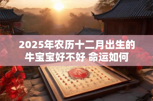 2025年农历十二月出生的牛宝宝好不好 命运如何